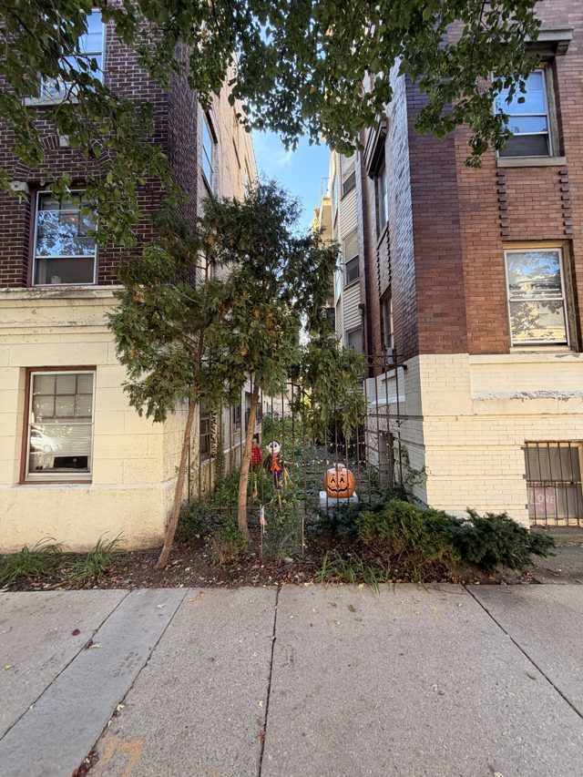 A narrow gap between two brick apartment buildings, a skeleton and a jack-o’-lantern in the bushes.