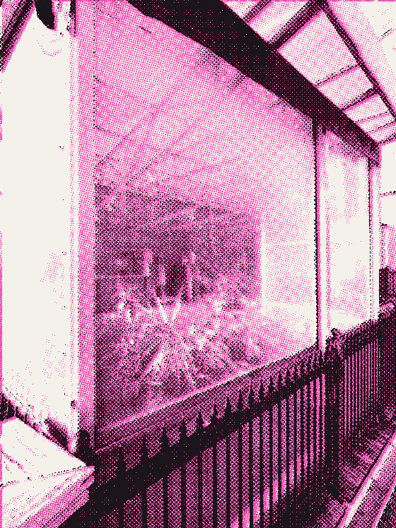 Plants pressed against a frosted window behind an iron fence