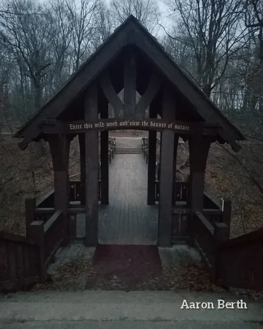 A dark wooden gate and steps in a stand of bare trees