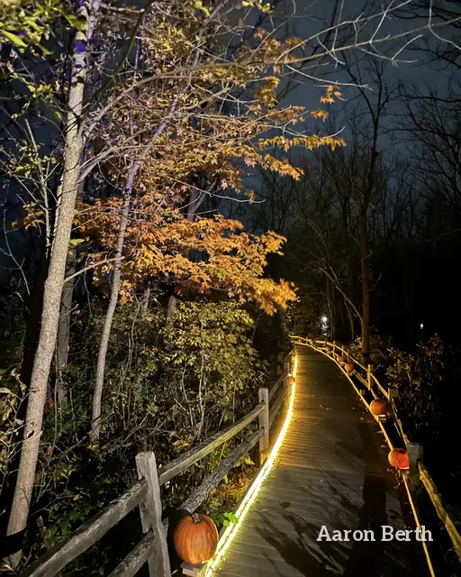 A lit wooden railing curving down a dark wooded trail in fall