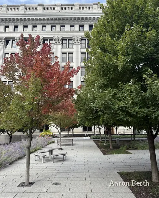 A stone plaza in the city with a tree turning red beside a classical building