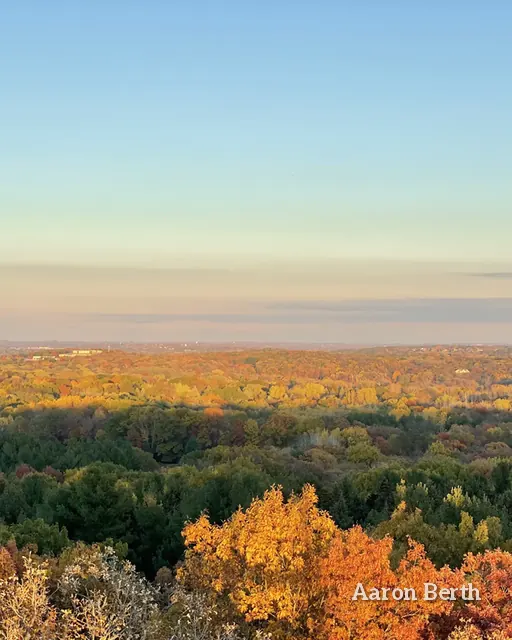 An evening haze over rolling treetops in gold and orange