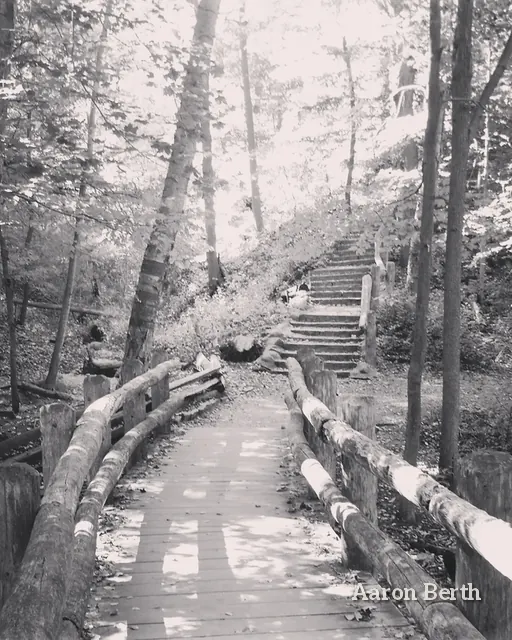 Black and white: a wooden boardwalk winding through bare woods