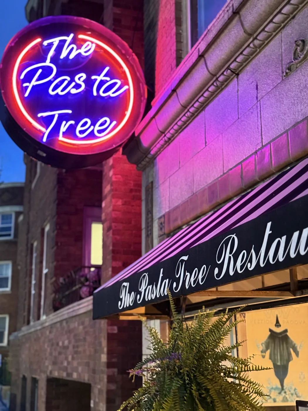 The Pasta Tree neon sign on Brady Street