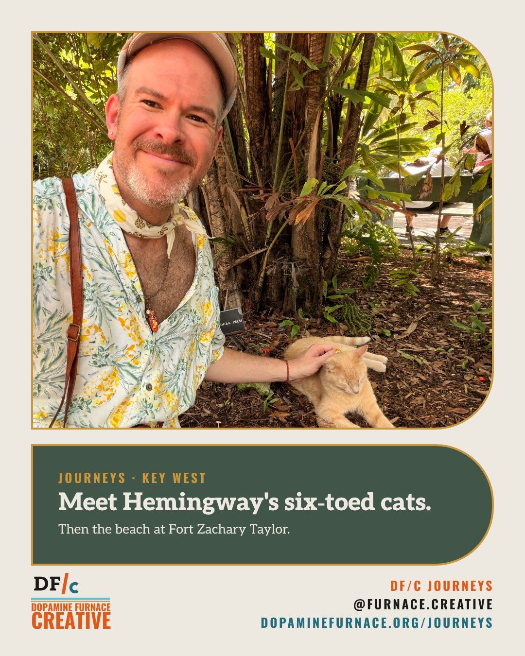 Journeys card: Meet Hemingway's six-toed cats. Then the beach at Fort Zachary Taylor. Dopamine Furnace Creative, @furnace.creative.
